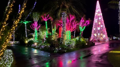 4KHD-Christmas-2020-Botanical-Garden-Okinawa-Japan-28