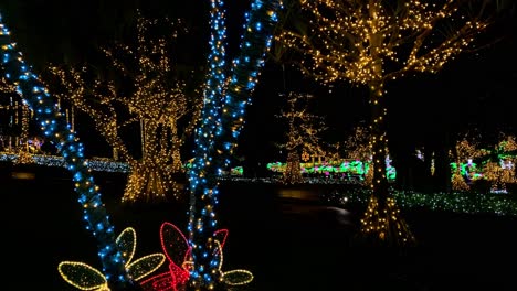 4khd-Navidad-2020-Jardín-Botánico-Okinawa-Japón-15