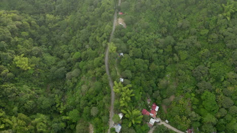Aerial-drone-video-above-a-green-jungle-in-a-warm-tropical-foreign-country-5