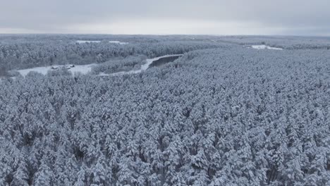 The-Neris-River-Meanders-Through-The-Snowy-Forest-in-Winter-1