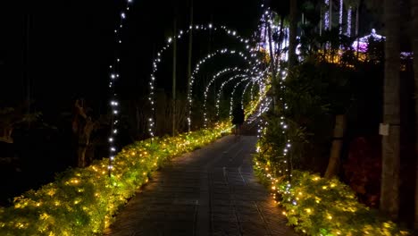 4KHD-Christmas-2020-Botanical-Garden-Okinawa-Japan-5