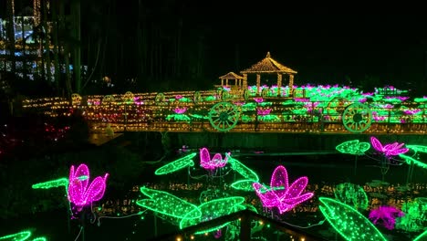 4KHD-Christmas-2020-Botanical-Garden-Okinawa-Japan-4