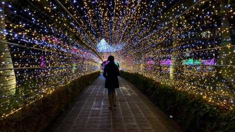4khd-Navidad-2020-Jardín-Botánico-Okinawa-Japón-31
