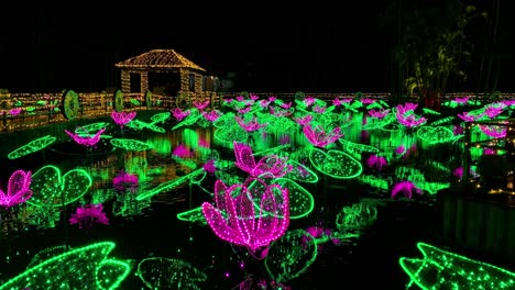 4khd-Navidad-2020-Jardín-Botánico-Okinawa-Japón-17