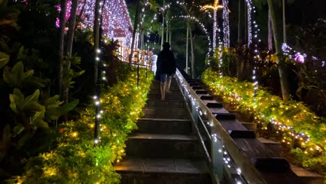 4khd-Navidad-2020-Jardín-Botánico-Okinawa-Japón-20