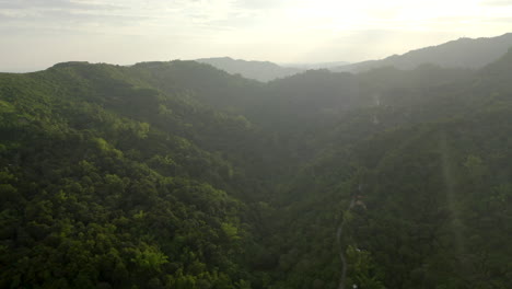 Aerial-drone-video-above-a-green-jungle-in-a-warm-tropical-foreign-country-4