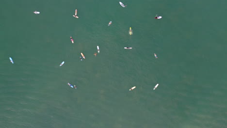 Top-down-view-of-surfers-waiting-in-the-ocean-for-a-wave-to-ride