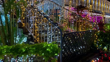 4khd-Navidad-2020-Jardín-Botánico-Okinawa-Japón-1