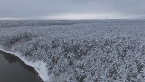 Schneebedeckter-Nadelwald-Und-Der-Gewundene-Fluss-Neris-Im-Verschneiten-Winter
