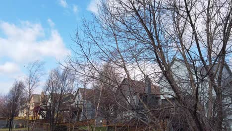 Sehr-Windiger-Schwenk-über-Bäume,-Häuser-Und-Blauer-Himmel