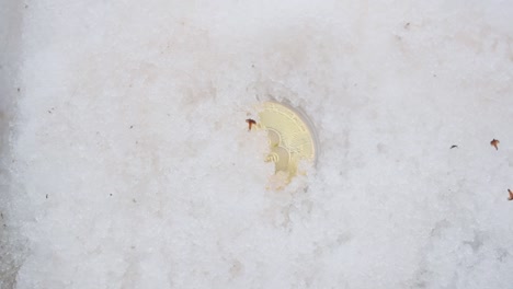 Male-Hand-Covering-Golden-Bitcoin-With-Snow-To-Hide-It