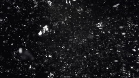 Underwater-bubbles-mayhem-on-Black-Backgrounds