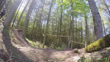 Two-Mountain-Bikers-riding-downhill-at-high-speed-in-forestry-track