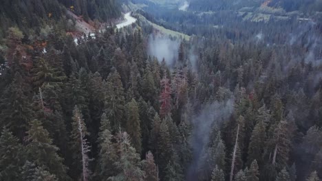 Washington-State---Drone-aerial-panning-upwards-along-a-road-cutting-through-a-pine-forest,-to-reveal-rising-mist-and-cloudy-mountains-in-the-distance,-near-Franklin-Falls-and-Snowqualmie