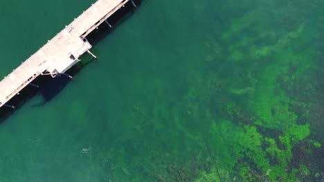 Bird's-eye-drone-pan-shot-over-clear-ocean-reef-and-coal-loading-wharf-bridge-with-speed-boat-at-Catherine-Hill-Bay-Swansea-NSW-Australia-3840x2160-4K