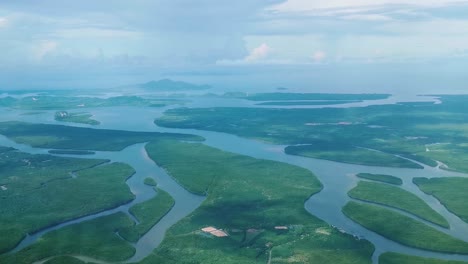 Aerial-view-of-mangrove-forest-and-jungle-river
