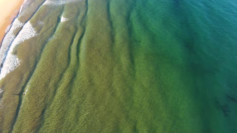 Drohne-Luftaufnahme-Von-Kristallklarem-Wasser-Sand-Ozean-Dünung-Wellen-Terrigal-Strand-Tourismus-Central-Coast-NSW-Australien-3840x2160-4k