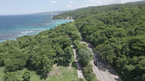 Highway-amid-tropical-forest-on-serene-Caribbean-coast-of-Jamaica,-aerial-view