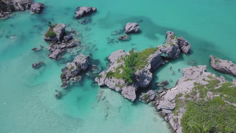 Bermuda-descending-drone-shot-of-three-simmers-floating-in-clear-shallow-water-near-Morgan's-Island