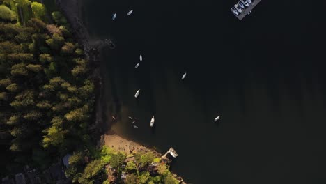 Aerial-view-of-the-beach-during-sunset-in-Deep-Cove,-British-Columbia
