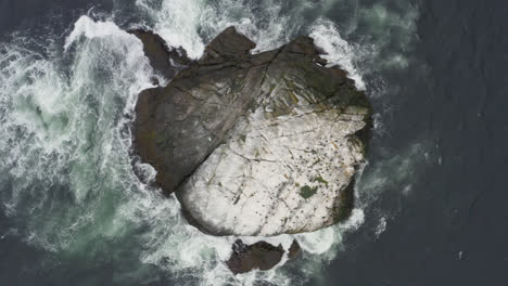 Little-islet-covered-with-birds-from-above