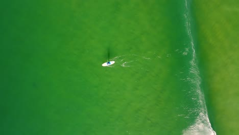 Drone-aerial-shot-of-Stand-Up-Paddle-Boarder-on-Sandy-beach-wave-shoreline-break-Pacific-Ocean-Terrigal-Central-Coast-NSW-Australia-3840x2160-4K