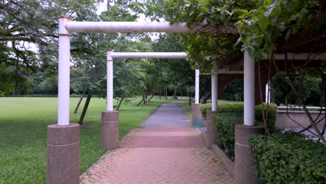 Empty-Park-With-Lush-Green-Trees-During-COVID-19-Pandemic-In-Singapore