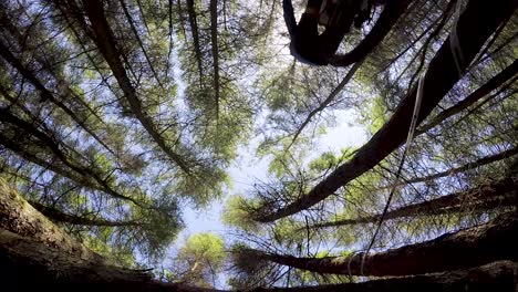 Slow-Motion-Mountain-Biker-riding-jump-over-camera-with-tall-tree-canopy-in-the-background