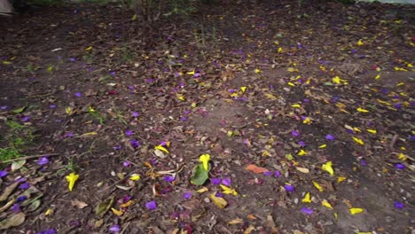 Gelbe-Und-Violette-Blumen,-Die-Auf-Dem-Boden-Verstreut-Sind