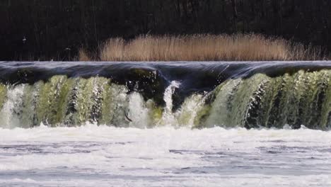 Fish-fly-in-the-waterfall-in-Baltic-states-Slow-motion