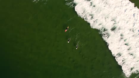 Drohne-Luftaufnahme-Von-Surfern-Ente-Tauchen-Unter-Meereswellen-Anschwellen-Die-Biegung-Terrigal-Wamberal-Pazifik-Nsw-Zentralküste-Australien-3840x2160-4k