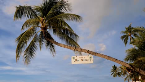 Hängendes-Willkommensschild-Auf-Kokospalme---Hier-Ist-Die-Insel-Samui