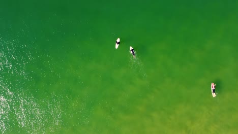 Drohnen-Luftlandschaftsaufnahme-Von-Drei-Surfern,-Die-Am-Terrigal-Beach-Pazifischen-Ozean,-Zentrale-Küste,-NSW,-Australien,-Paddeln-3840x2160-4k