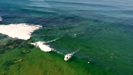Drone-aerial-view-of-surfers-enjoying-carving-ocean-waves-in-Winter-Shelly-Beach-Central-Coast-NSW-Australia-3840x2160-4K