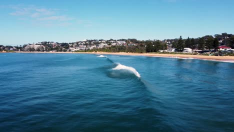 Drone-aerial-landscape-scenic-shot-of-stand-up-paddle-board-and-view-of-Terrigal-Beach-Pacific-Ocean-Central-Coast-NSW-Australia-3840x2160-4K