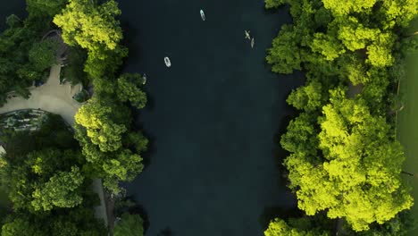 Vogelperspektive-Von-Menschen,-Die-Bei-Sonnenuntergang-Auf-Einem-See-Kajak-Fahren,-Umgeben-Von-Grünen-Bäumen-Und-Blauem-Wasser