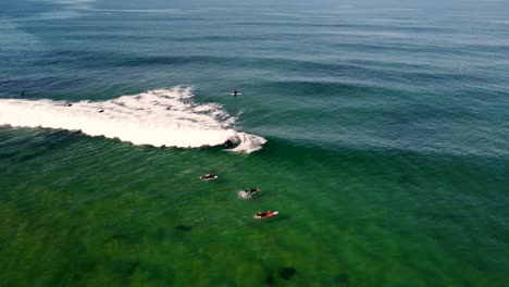 Drone-aerial-view-of-surfboarding-riding-wave-on-Shelly-Beach-Central-Coast-tourism-New-South-Wales-Australia-3840x2160-4K