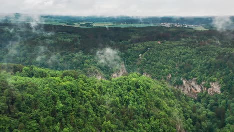 Luftaufnahme-Der-Ausgedehnten-Wälder-Des-Berühmten-Mährischen-Karstes