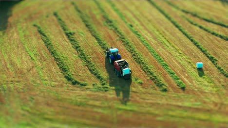 Seen-from-the-above-a-farmer-on-a-blue-tractor-with-a-red-round-hay-baler-is-collecting-hay,-already-neatly-cut-and-left-on-a-field-in-straight-rows