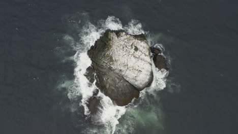 Little-islet-covered-with-birds-from-above-1
