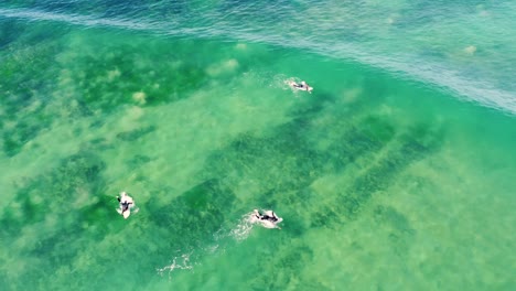 Drone-aerial-view-of-surfers-catching-crystal-clear-wave-on-sandy-coastline-Shelly-Beach-Pacific-Ocean-NSW-Australia-3840x2160-4K