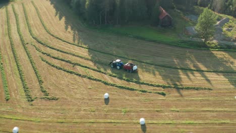 Neat-white-plastic-roll-with-silage-scattered-on-the-field