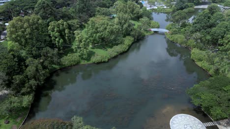 Aerial-View-Of-A-Tranquil-Pond-In-A-Park---drone-shot
