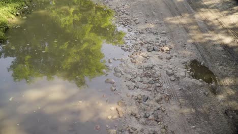 Wet-dirt-road-with-puddle-and-reflecting-tree-static-in-4K