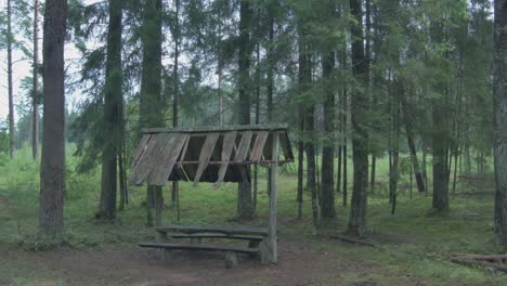 Old-Wooden-Shelter-In-The-Forest