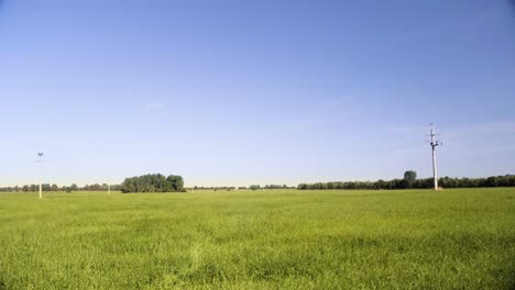 Green-field-during-sunny-summer-day-with-blue-sky-and-energy-pole-in-4K-2