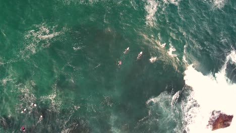 Drohne-Aus-Der-Vogelperspektive-Aufnahme-Der-Küstenlinie-Terrigal-Surfer-Paddeln-Im-Line-up-The-Haven-Skillion-Central-Coast-NSW-Australien-4k