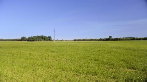 Grünes-Feld-Während-Des-Sonnigen-Sommertages-Mit-Blauem-Himmel-Und-Energiepfosten-In-4k-1