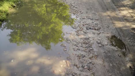 Wet-dirt-road-with-puddle-and-reflecting-tree-with-parallax-in-4K