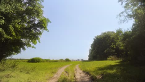 Dreamy-green-meadow-grassland-with-dirt-road-during-warm-sunny-summer-day-in-4K